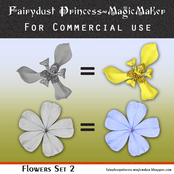 [MagicMaker_Flowers_Set+2.jpg]
