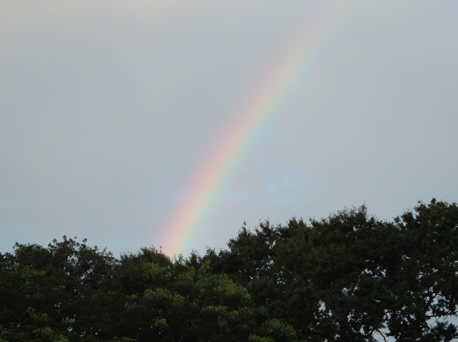 [Rainbows+-+07-14-2008+003.jpg]