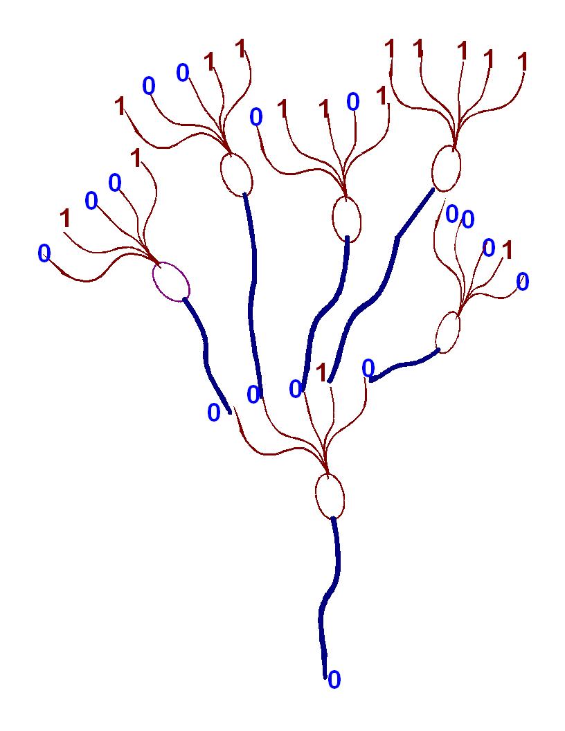[Neuronio+1.jpg]