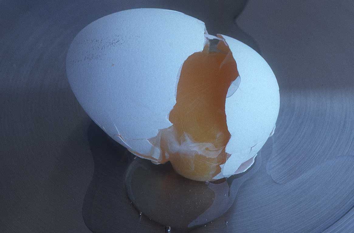[egg-broken-98g.jpg]