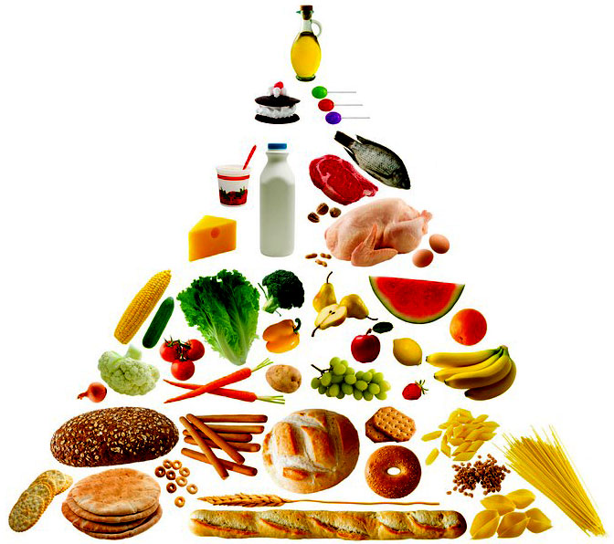 [food-pyramid.jpg]