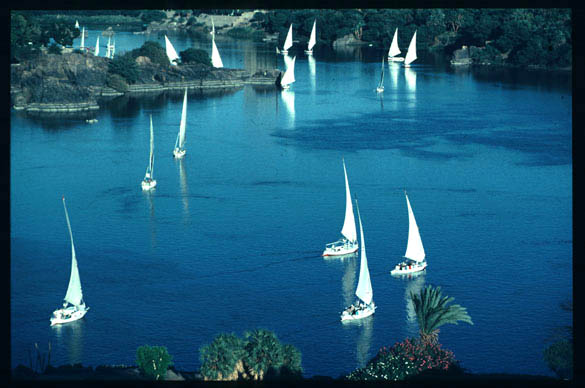 [The Nile - Aswan, Egypt.jpg]
