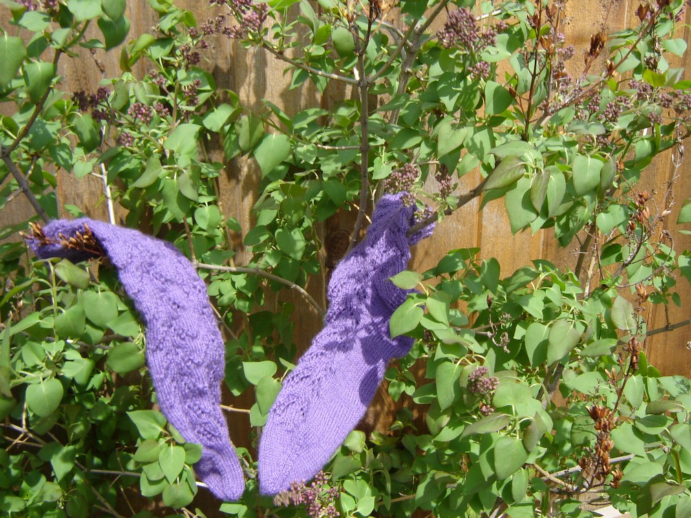[Lilac+pair+in+bush+2.JPG]