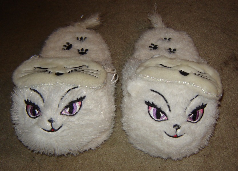 [sleepy+kitty+slippers.JPG]