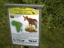 Cartel del Okapi