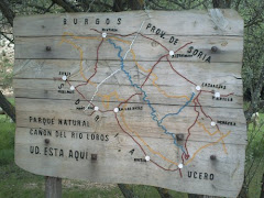 Cañon del Rio Lobos