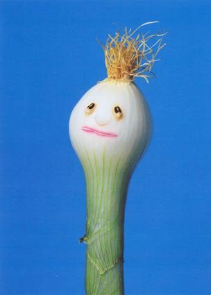[onion.bmp]