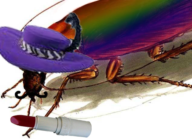 [cockroach2.JPG]