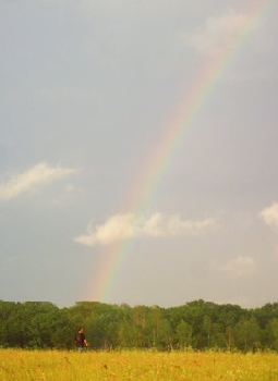 [rainbow.PNG]