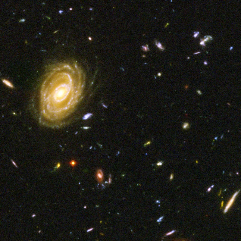 [galaxygalery(hubblesite.org).jpg]