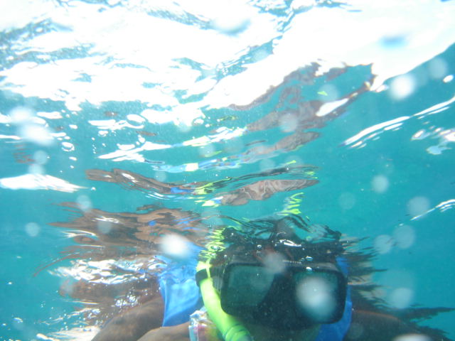 [Snorkeling+at+Waikiki+024.JPG]