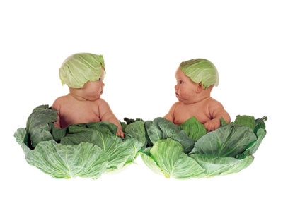 [1500-3070~Cabbage-Kids-Posters.jpg]