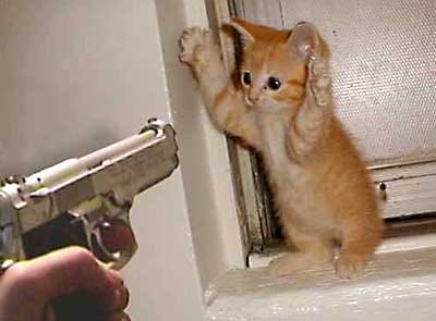 [cat+burglar.bmp]