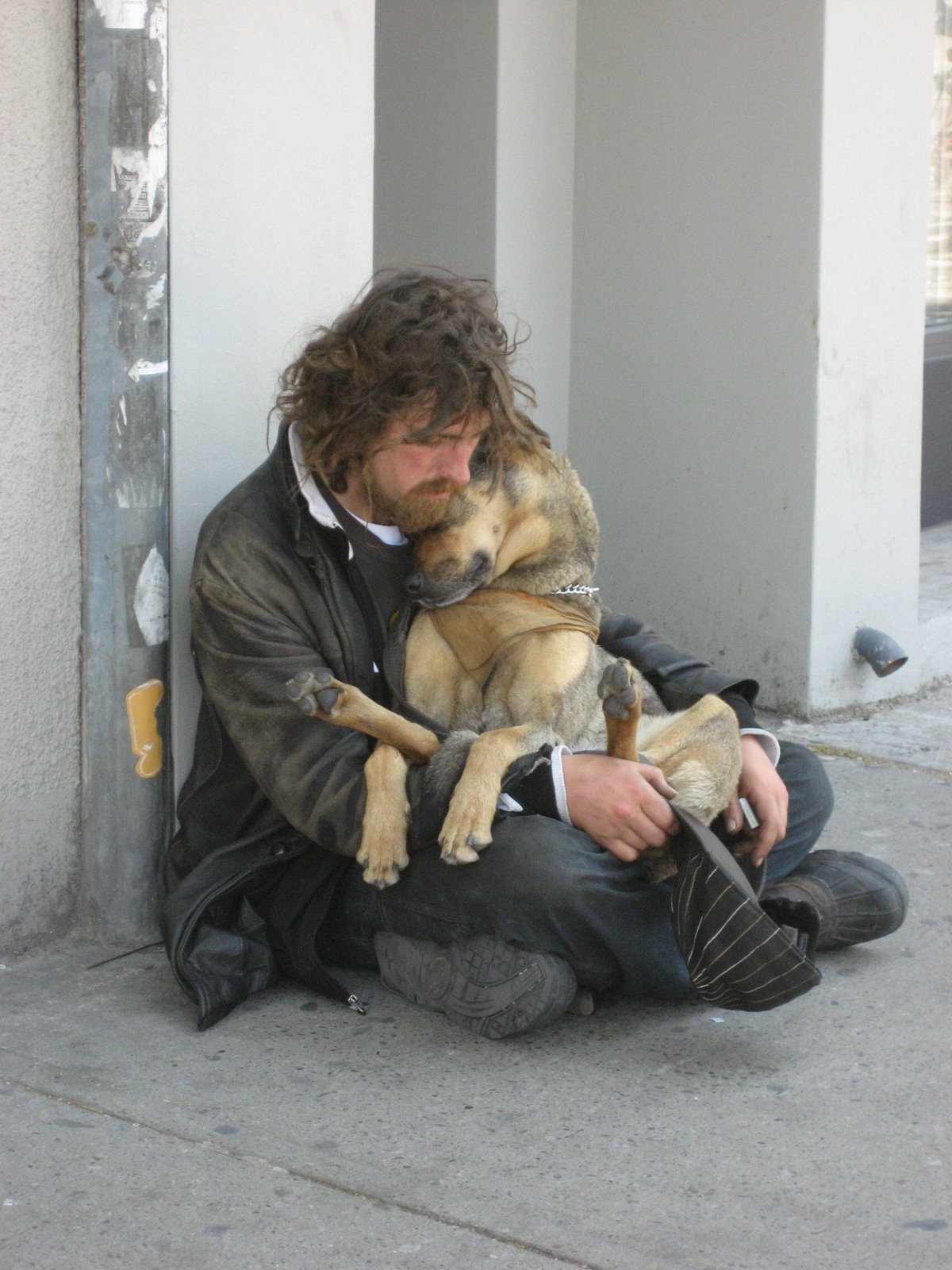 [homeless+dog.jpg]