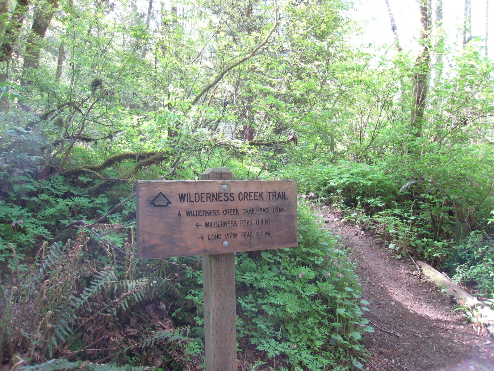 [Wilderness+Creek+Hike+May2008+30.jpg]