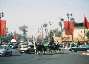 [flag+Marrakesh.jpg]