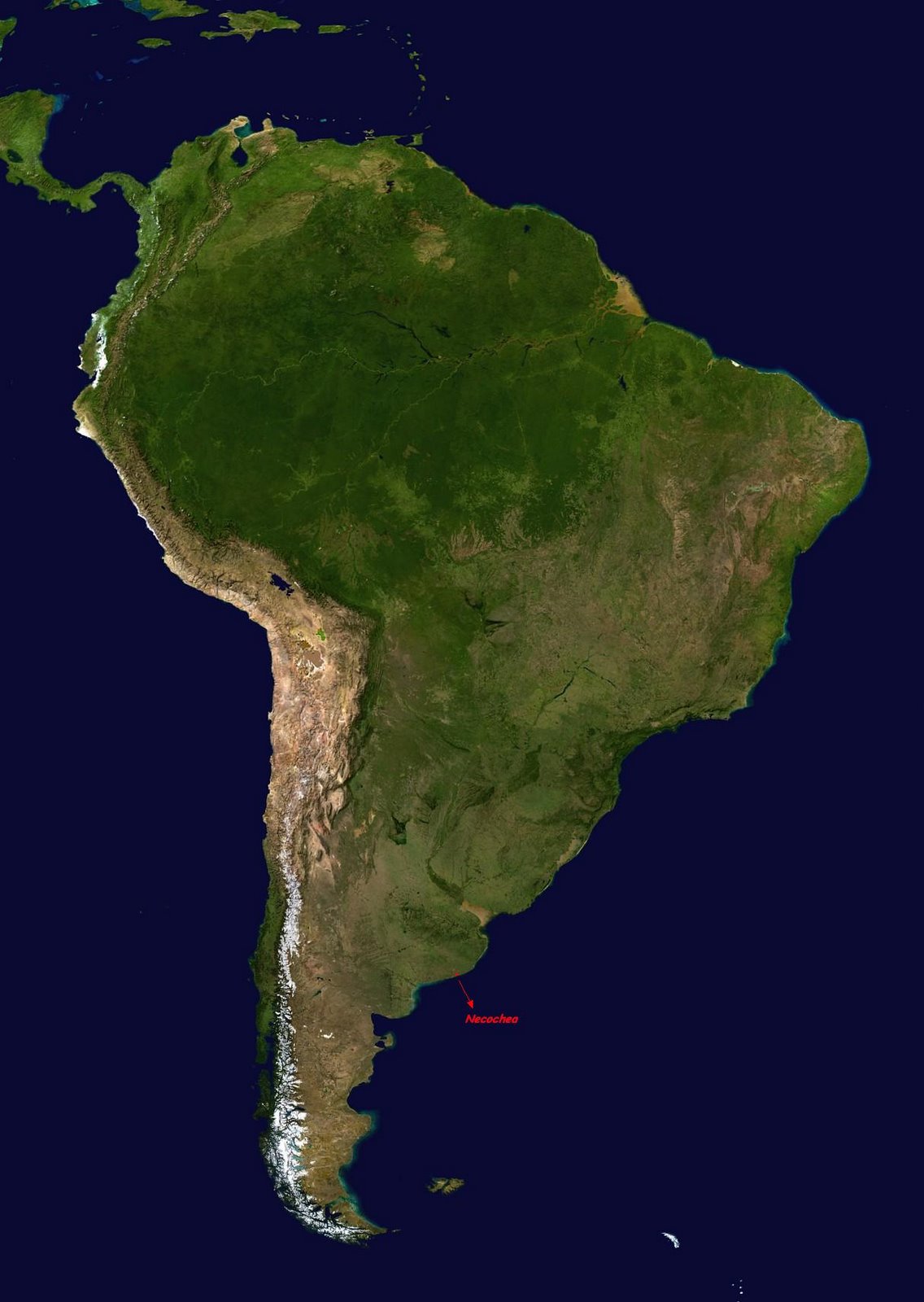 [South_America_+_Necochea.jpg]