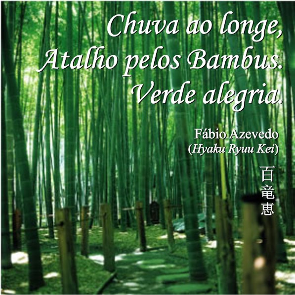[bambus.jpg]