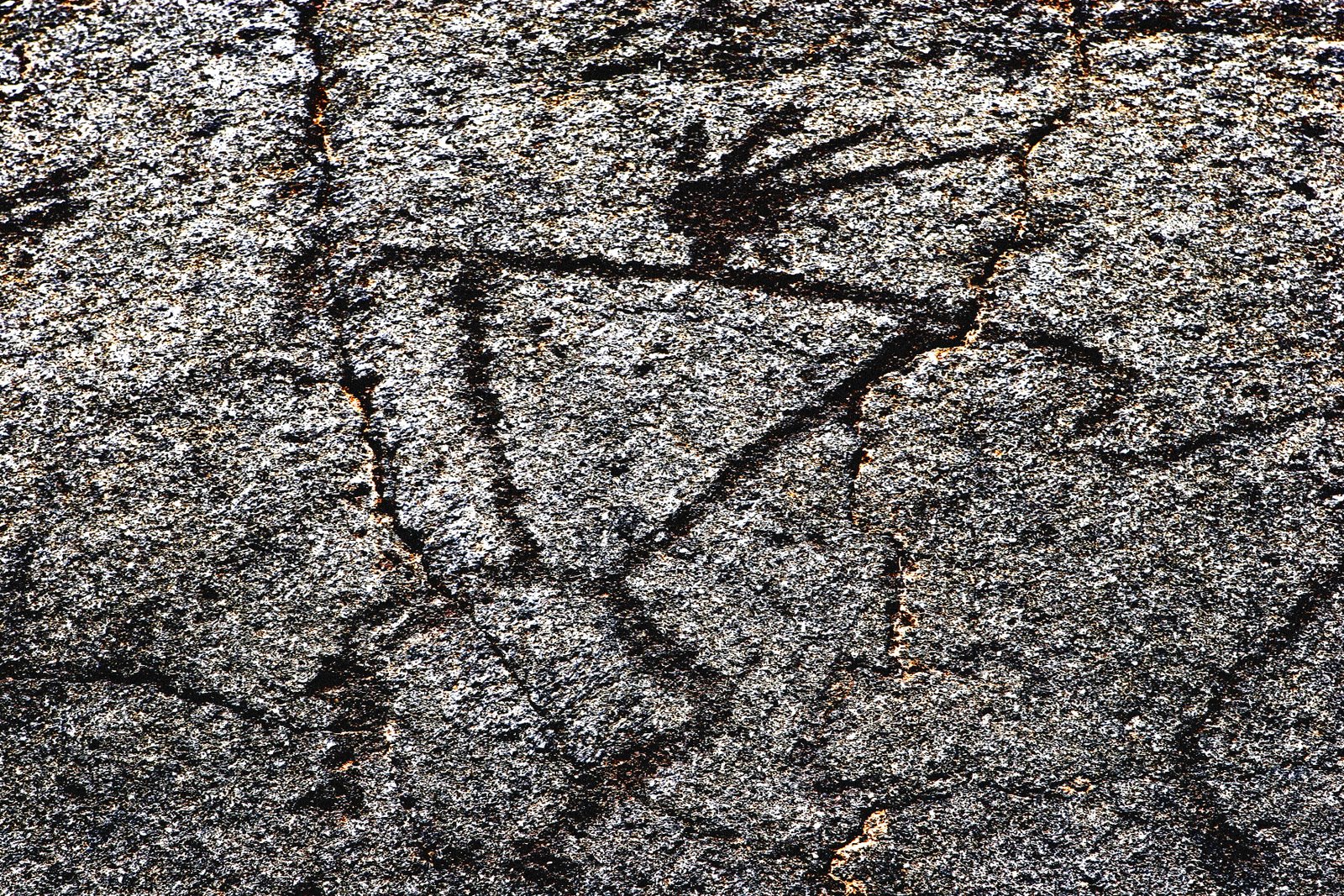 [Petroglyph.jpg]
