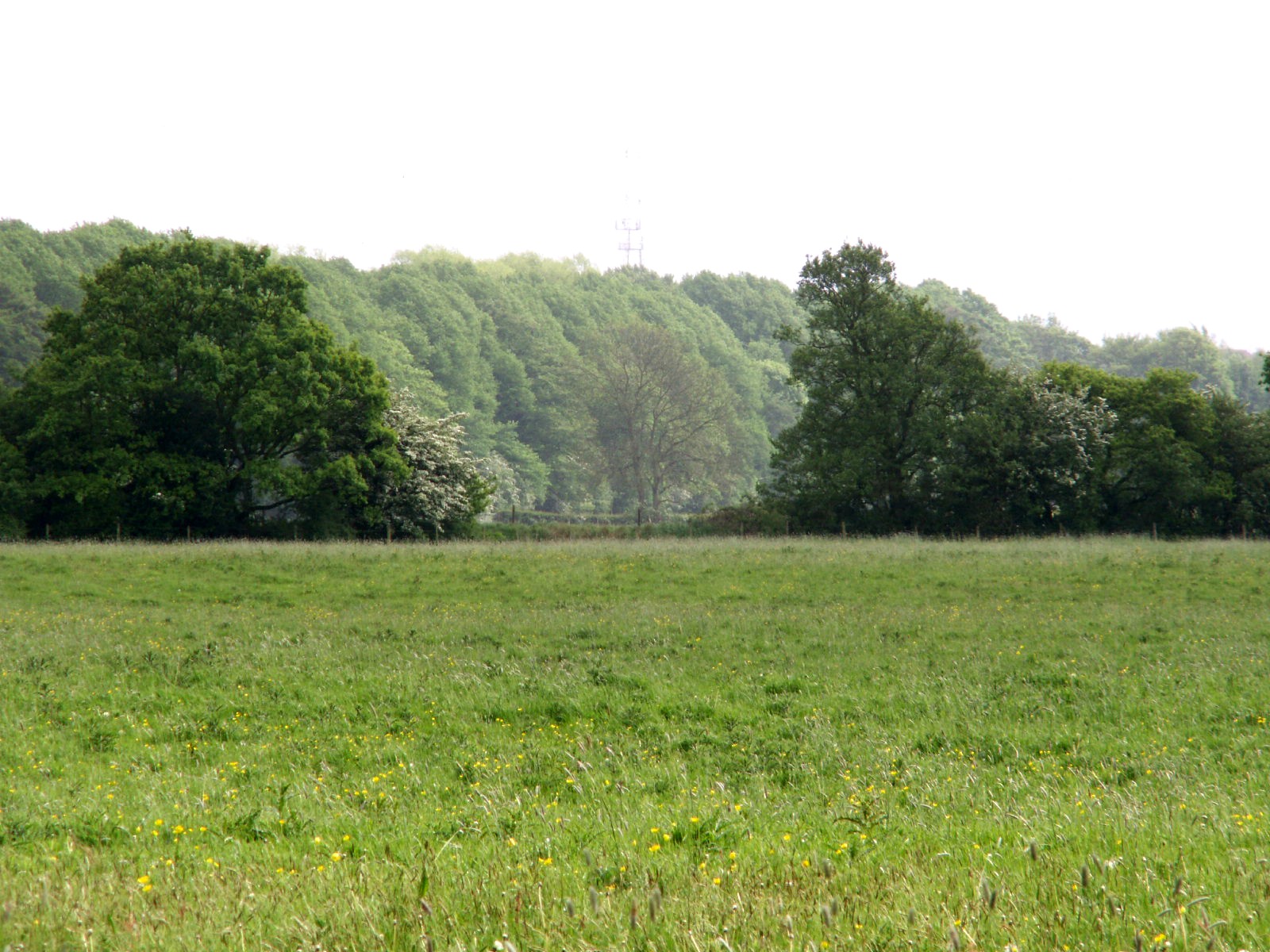 [verdant+pastures+and+beckoning+horizons,+5+minutes+walk+from+Preston+City+Centre.jpg]