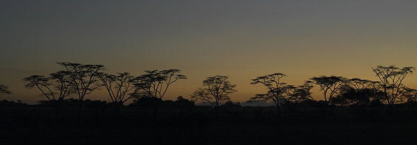 [040110_004-Serengeti.jpg]