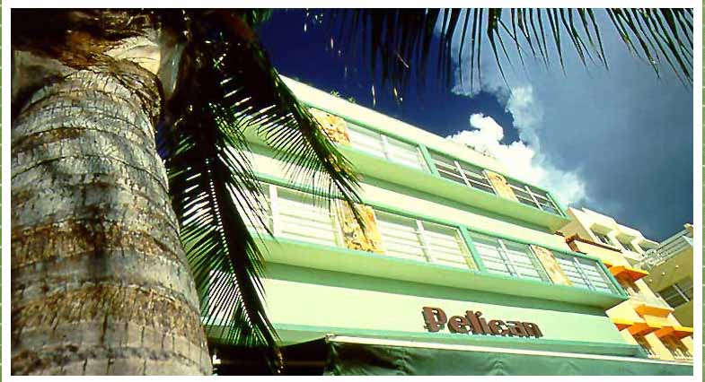 [pelican+hotel-1.jpg]