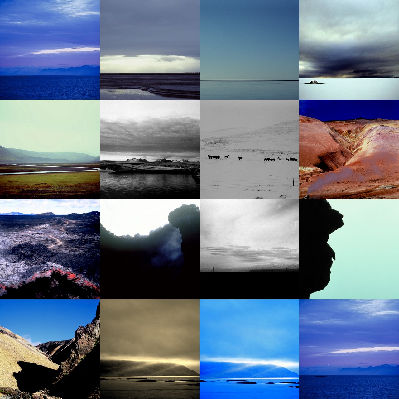 [collage+landscape.jpg]