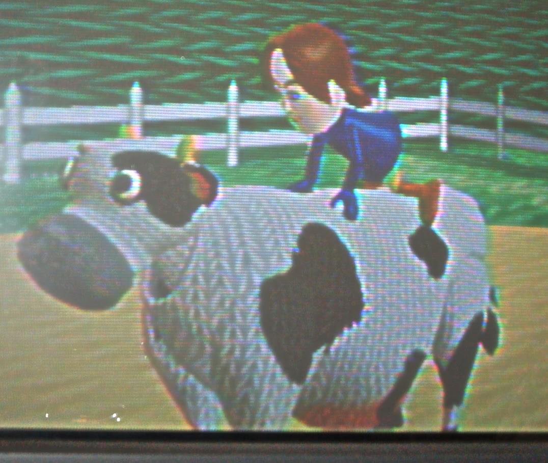 [knitted+cow.JPG]