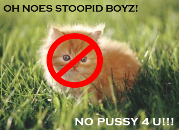 [no+pussy+lolcat.png]