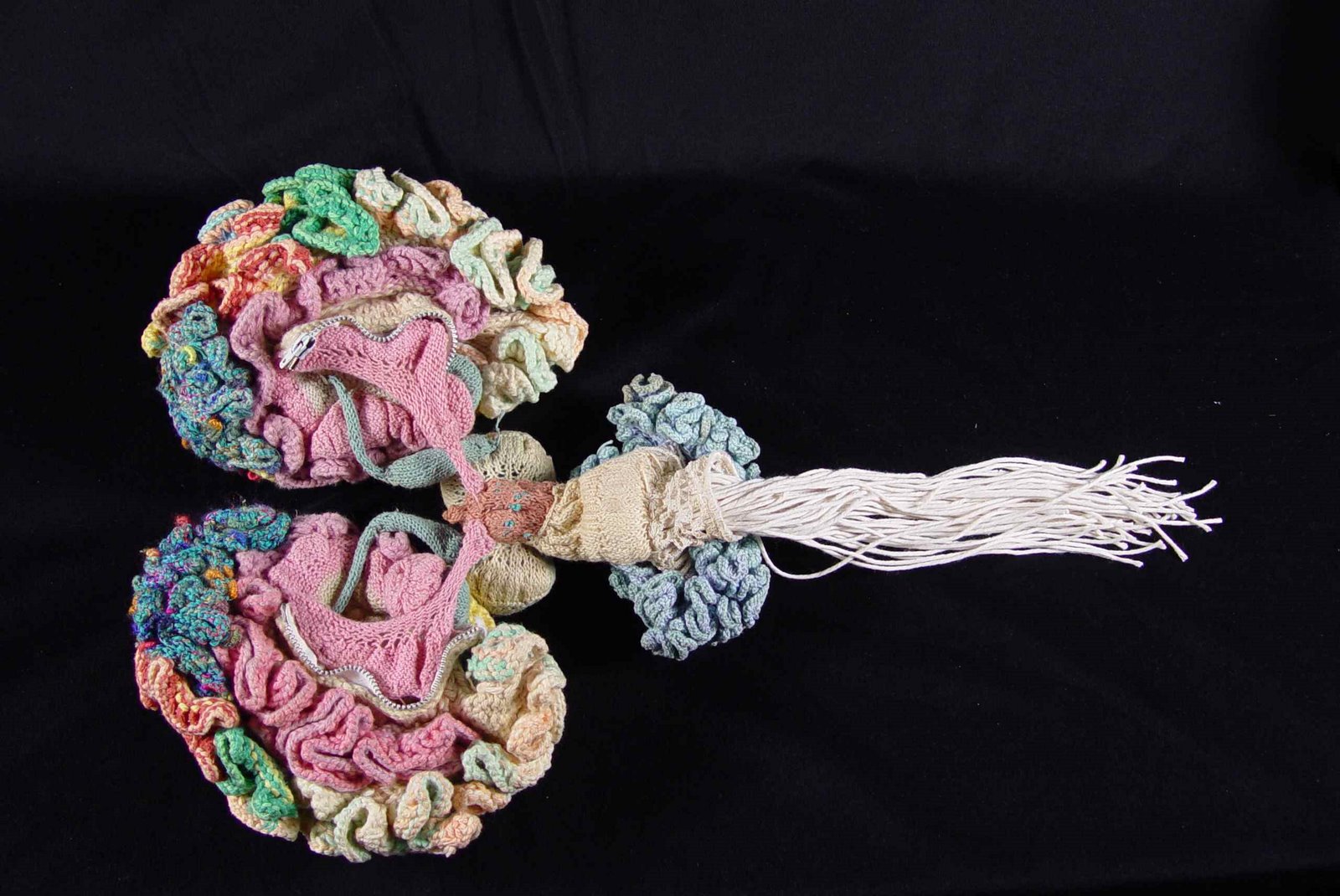 [knitted+brain.jpg]