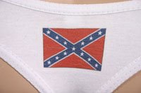 [confederate+panties.jpg]
