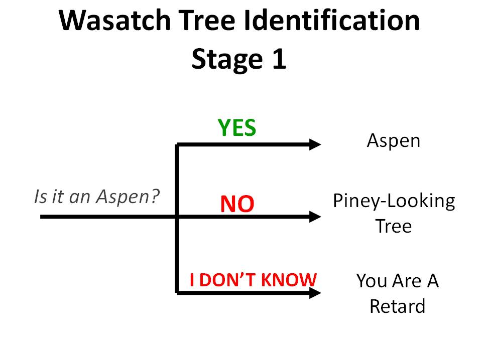 [Tree+ID+Stage+1.jpg]
