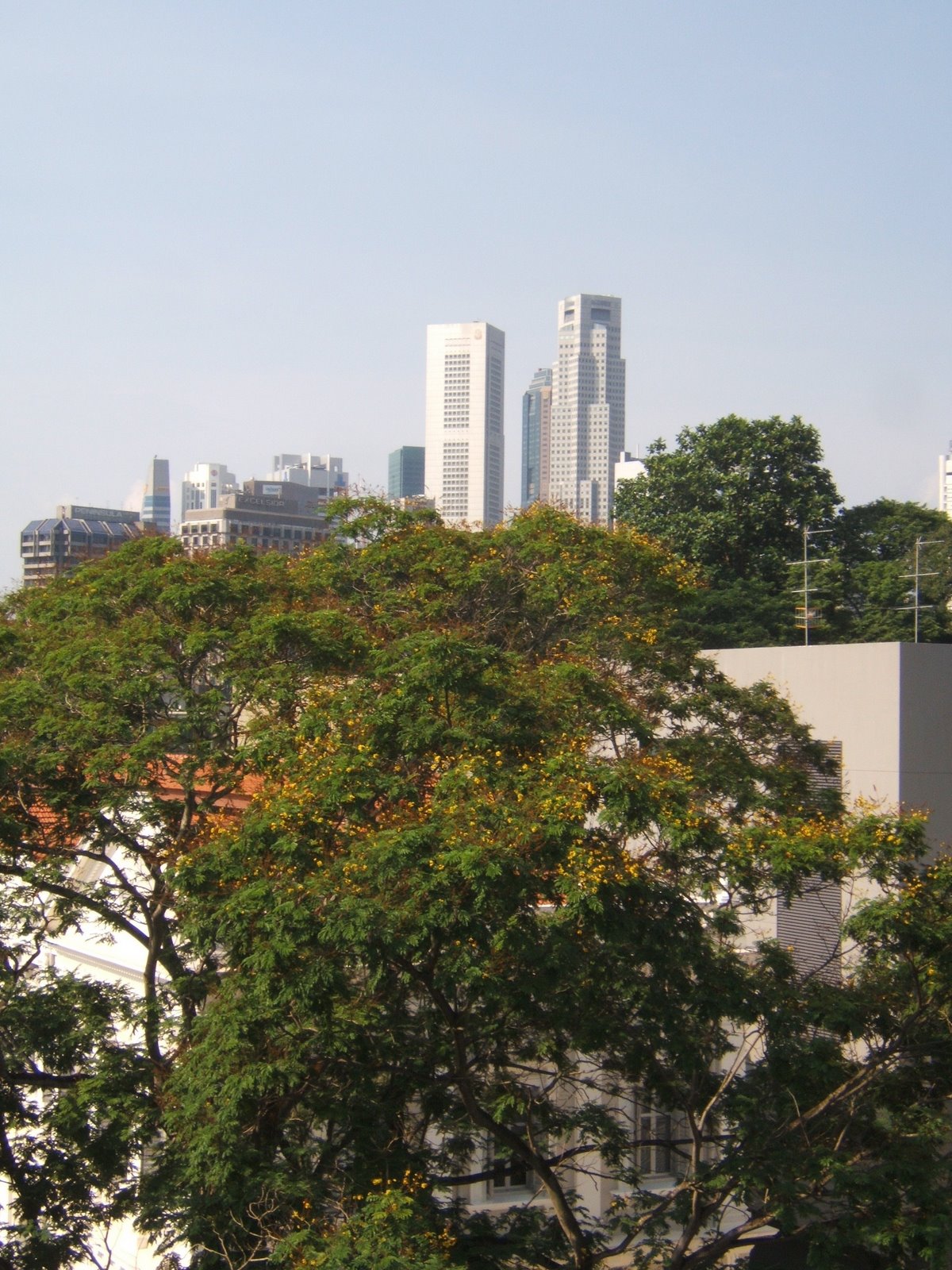[Singapore--+view+from+my+window+2.JPG]