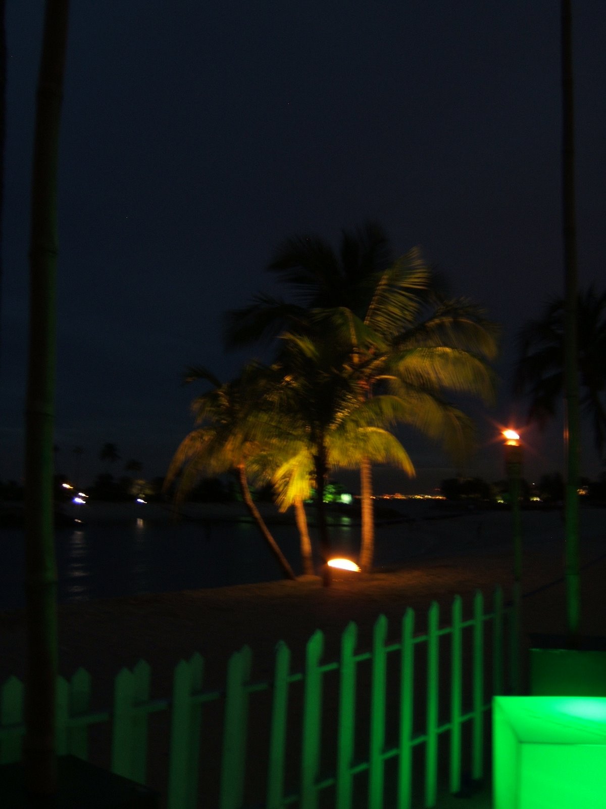 [Singapore--+Sentosa+Island--+lit+up+palm+trees.JPG]