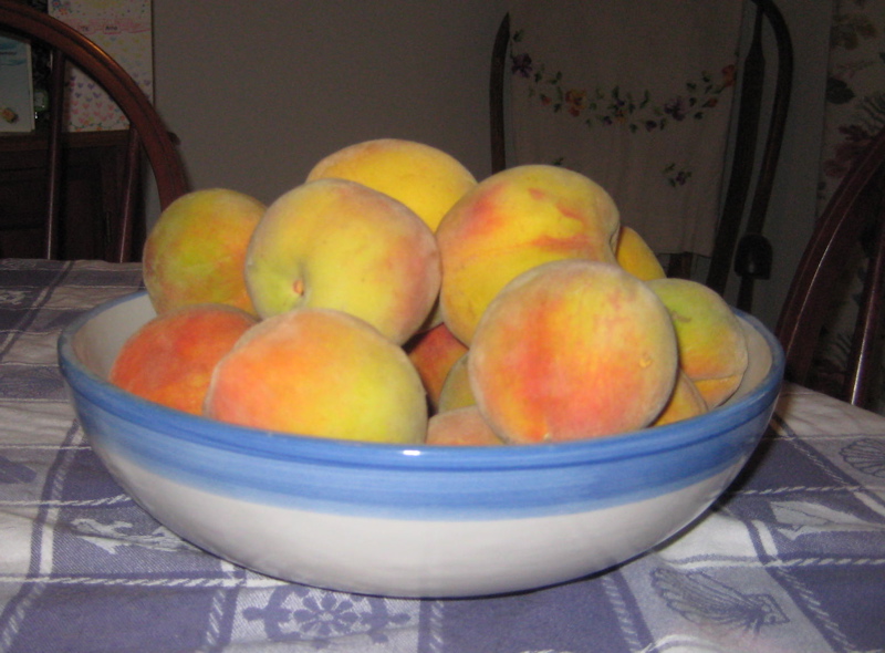 [peaches2.jpg]