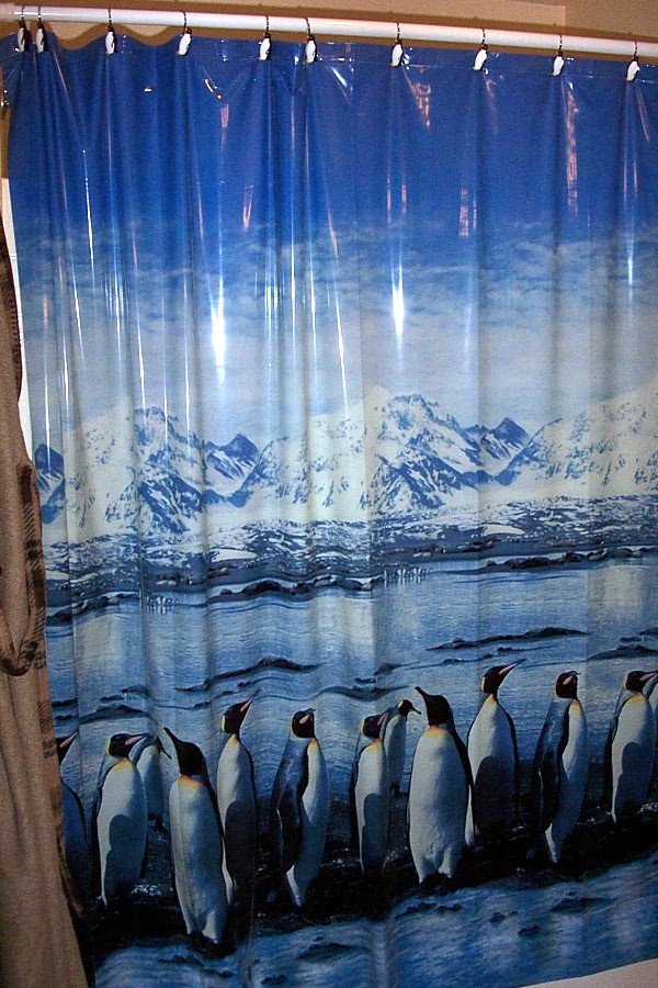 [Penguin_Curtain.JPG]