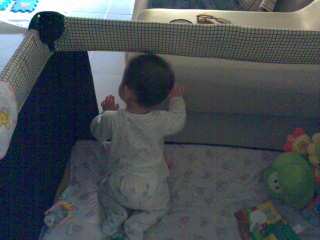 [Baby+looking+at+TV.jpg]