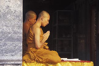 [0-361-13.monkpray.y.jpg]