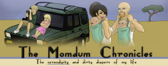 The Momdum Chronicles