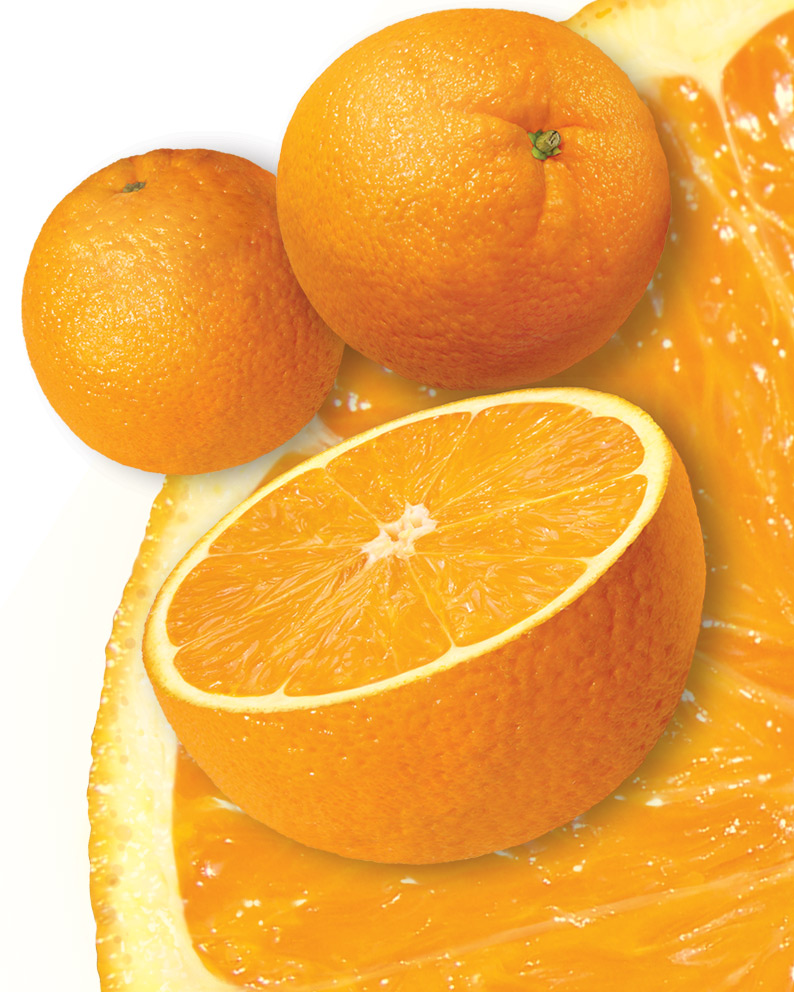[laranjas.jpg]