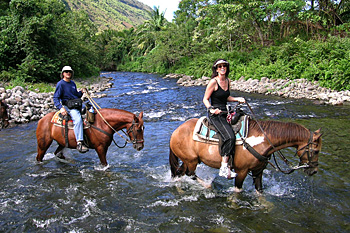 Horseback riding in Waipio Valley Big Island
