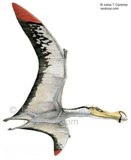 [Ornithocheirus.jpg]