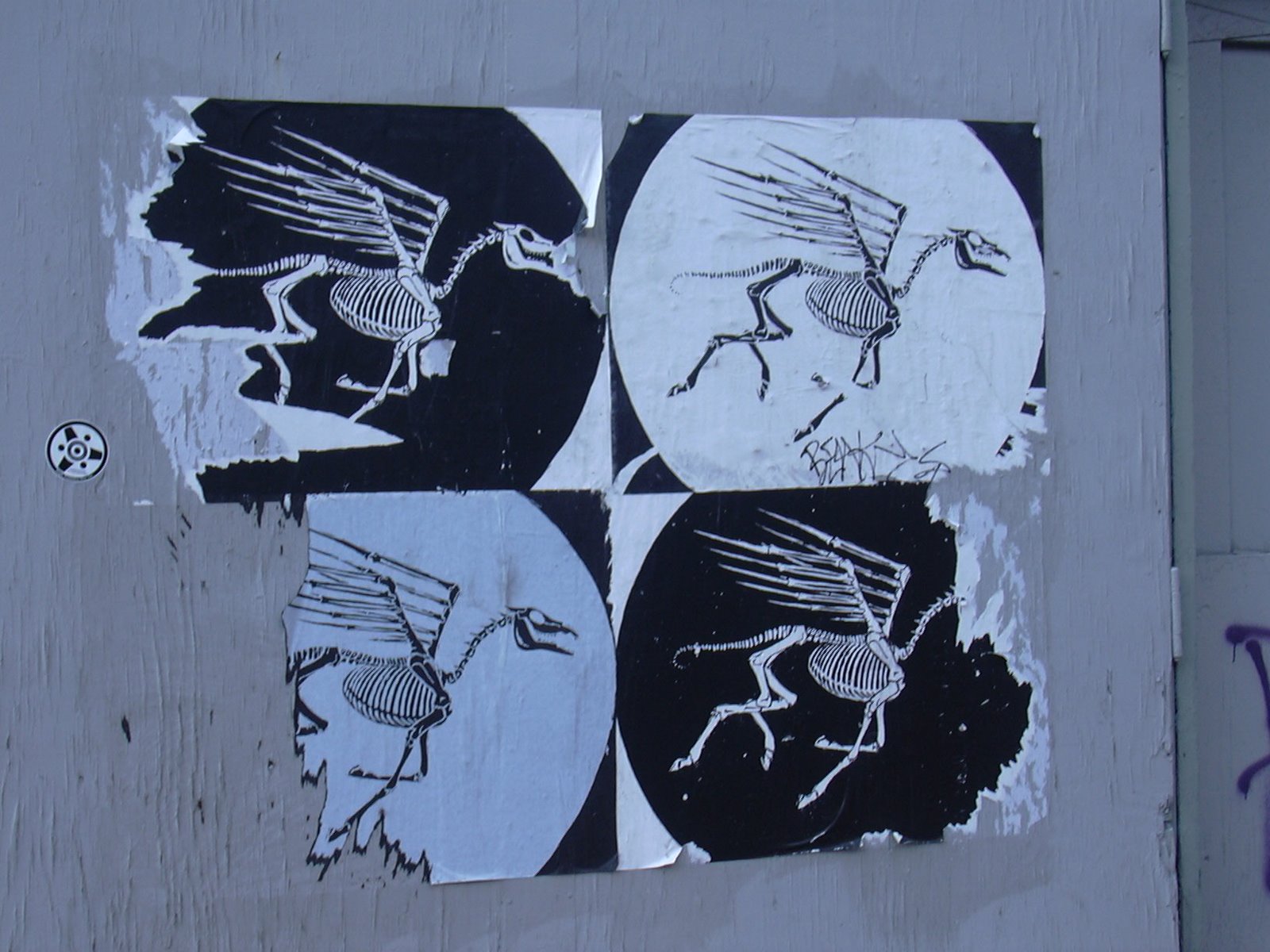 [Flying+Horse+Fossils.jpg]