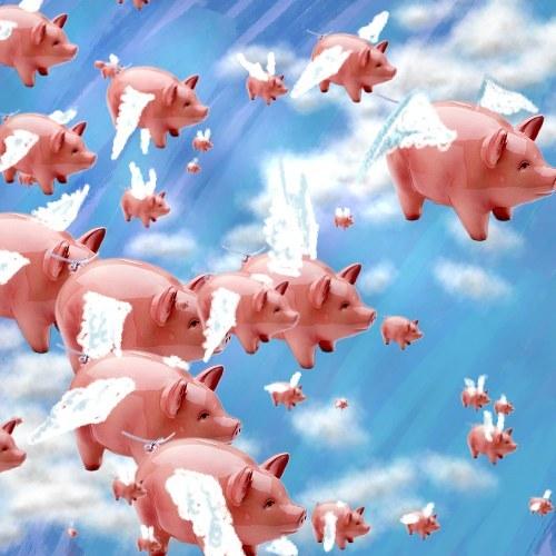 [pigs_flying.jpg]