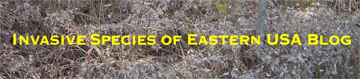 Invasive Species of Eastern USA Blog