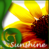 [sunflower.png]