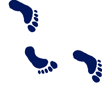 [footprints2.gif]