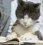 [gato+CatRead.gif]