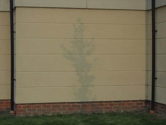 [TreeShadow.jpg]