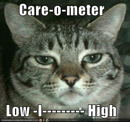 [funny-pictures-care-o-meter-cat.jpg]